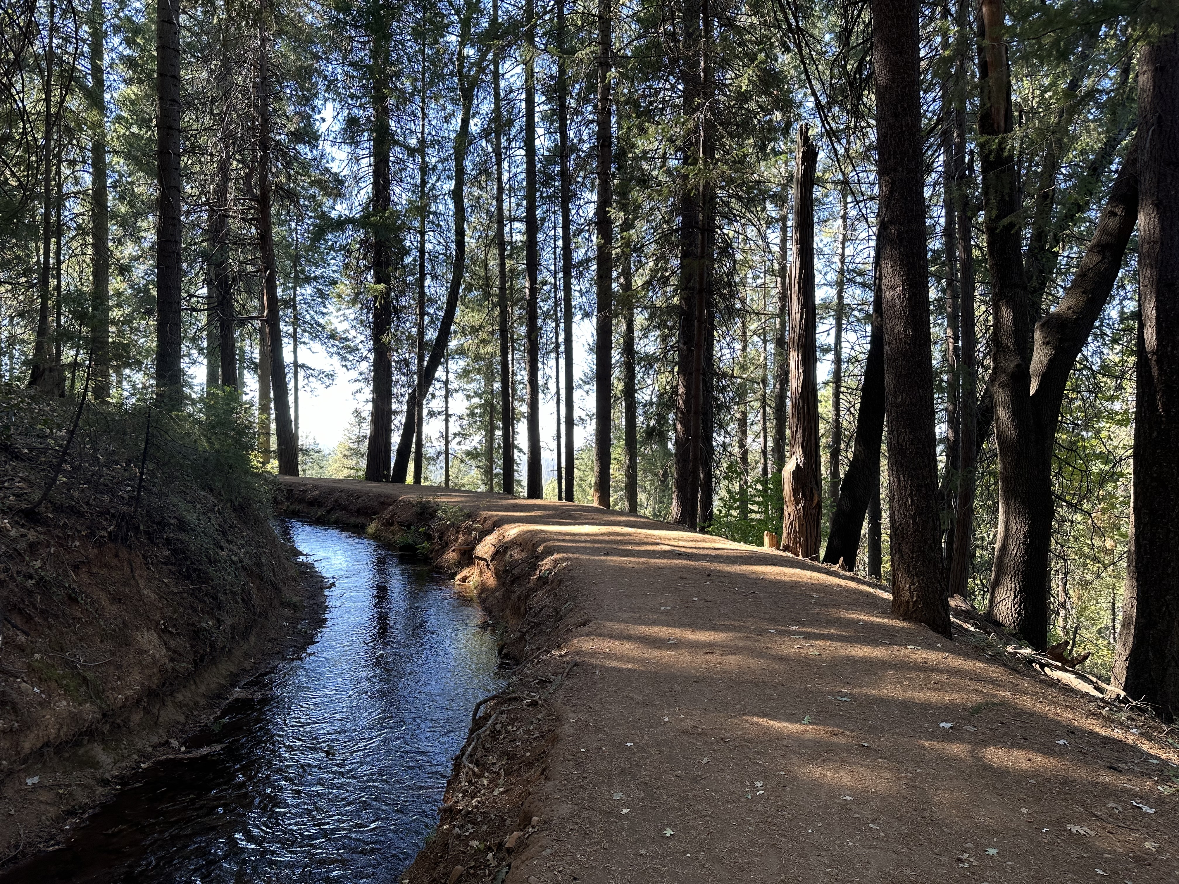 Qi Gong trail